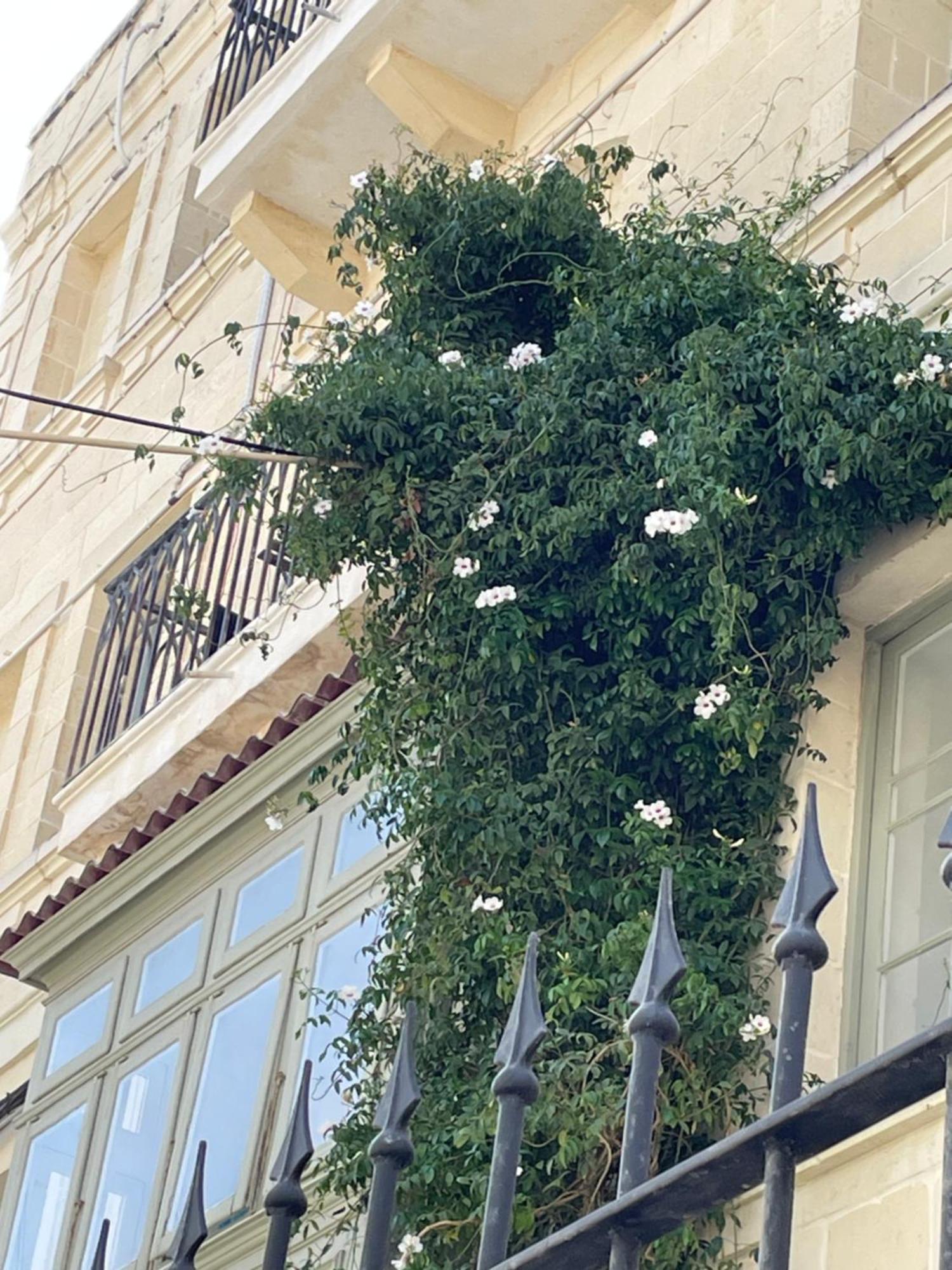 Simons Apartments Minutes Away From Balluta Bay And St Julians Sliema Bagian luar foto